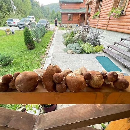 Villa Na Uzlissi Мигово Екстериор снимка