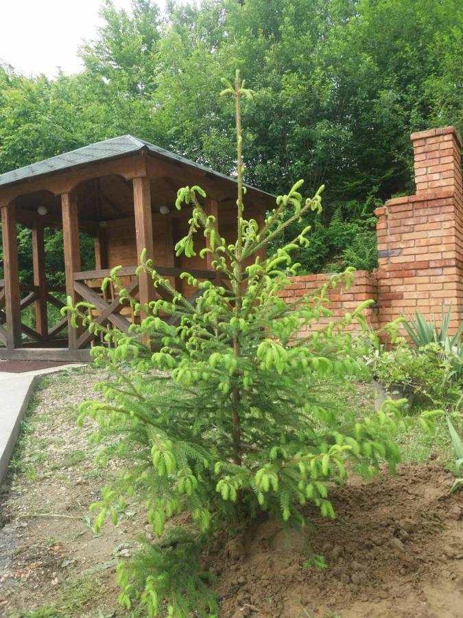 Villa Na Uzlissi Мигово Екстериор снимка