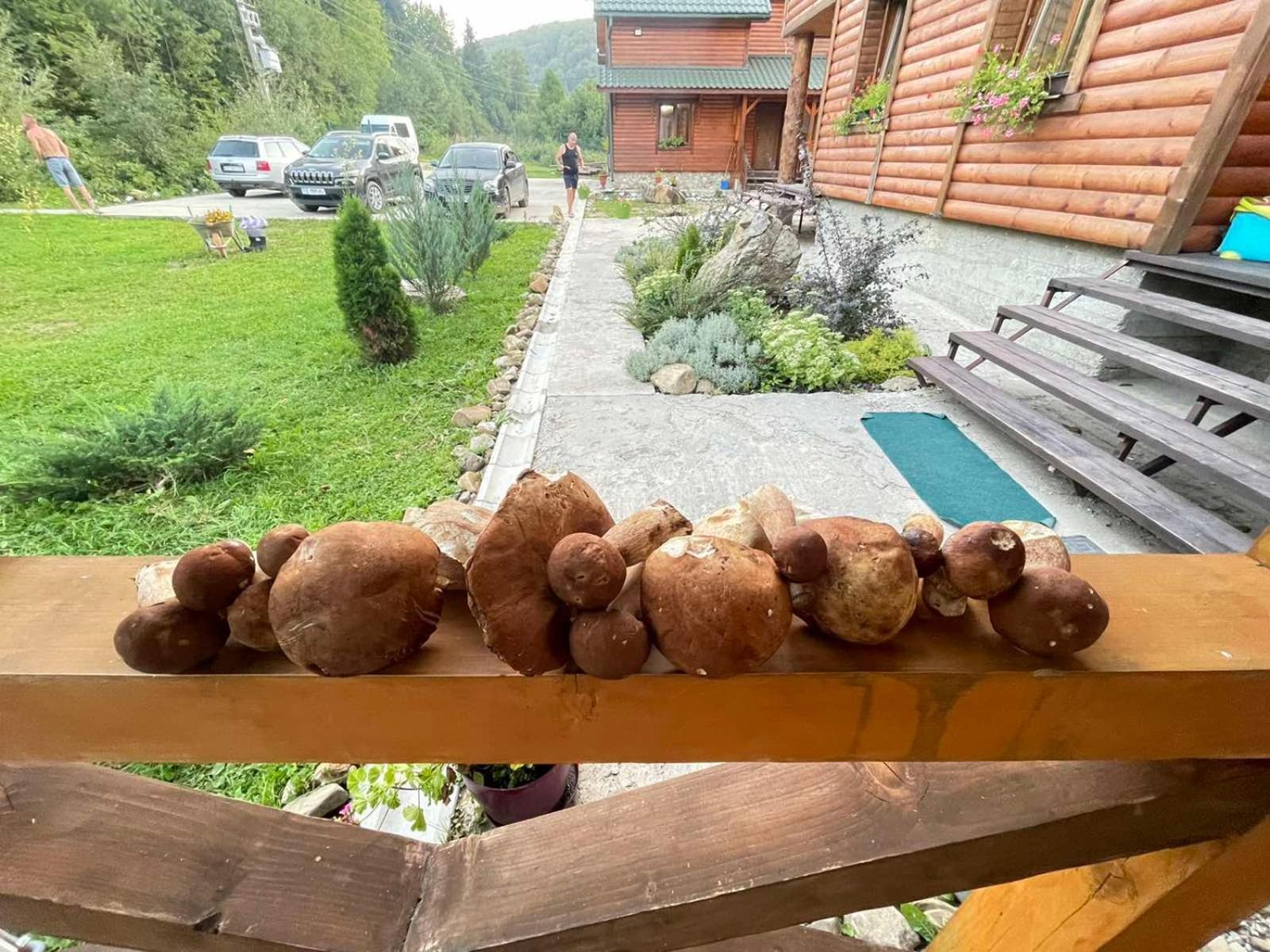 Villa Na Uzlissi Мигово Екстериор снимка