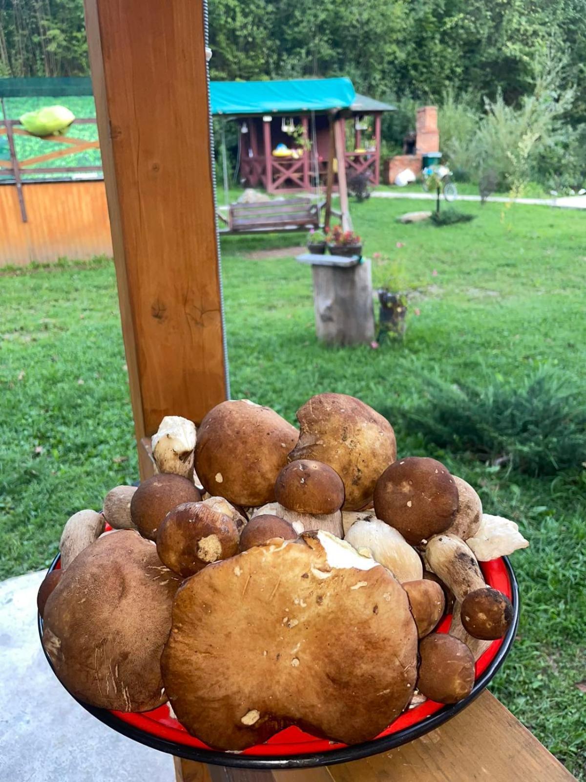 Villa Na Uzlissi Мигово Екстериор снимка